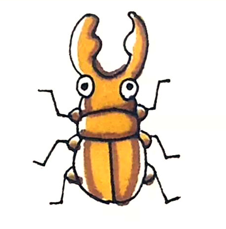 甲壳虫简笔画步骤画法教程图简笔画gif搞笑图片