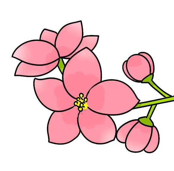 鲜花的简笔画简笔画gif搞笑图片