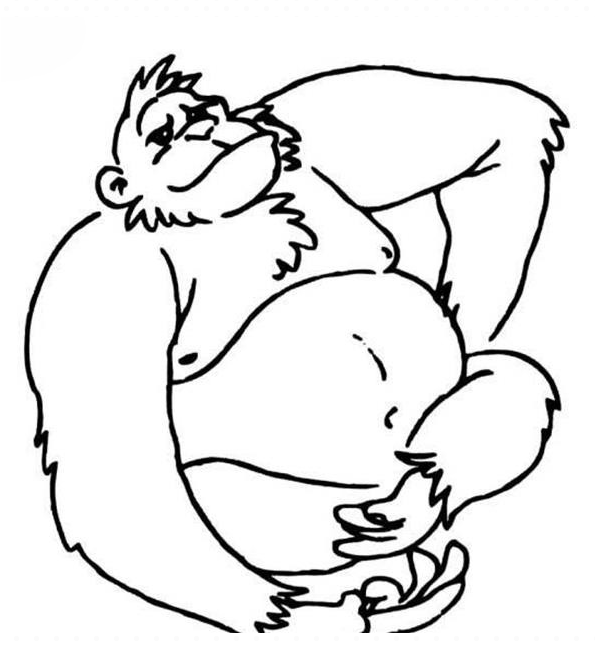 大猩猩的简笔画简笔画gif搞笑图片