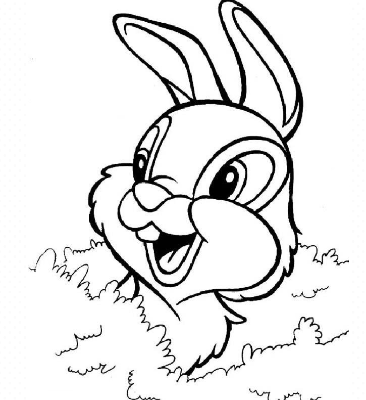 卡通兔子的简笔画简笔画gif搞笑图片