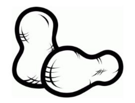 花生简笔画怎么画简笔画gif搞笑图片