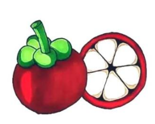 热带水果山竹的简笔画简笔画gif搞笑图片