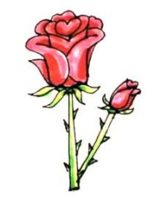 一朵玫瑰花的简笔画简笔画gif搞笑图片