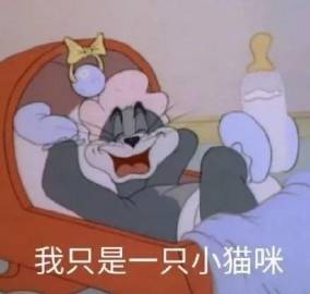 我只是一只小猫咪简笔画gif搞笑图片