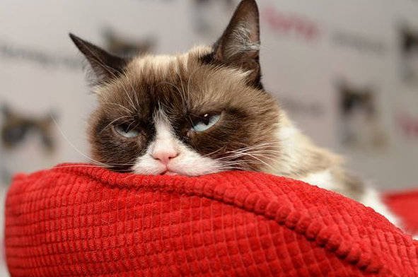 思考中斗图啦gif搞笑图片