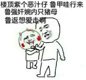 楼顶紫个恶汁仔，鲁甲哇行来，鲁强奸婉内只猪母，鲁返想爱走啊斗图啦gif搞笑图片