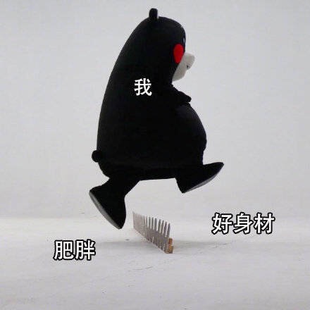 好身材与肥胖斗图啦gif搞笑图片