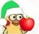 圣诞礼物苹果（绿帽子）斗图啦gif搞笑图片
