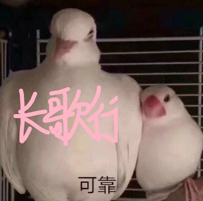 长歌行，可靠！斗图啦gif搞笑图片