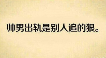 帅男出轨是别人追的狠。斗图啦gif搞笑图片