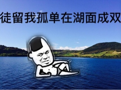 徒留我孤单在湖面成双斗图啦gif搞笑图片
