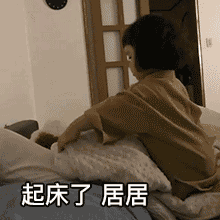 起床了.居居斗图啦gif搞笑图片