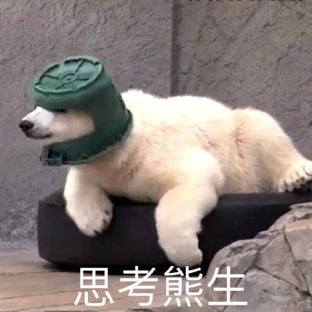 思考熊生斗图啦gif搞笑图片
