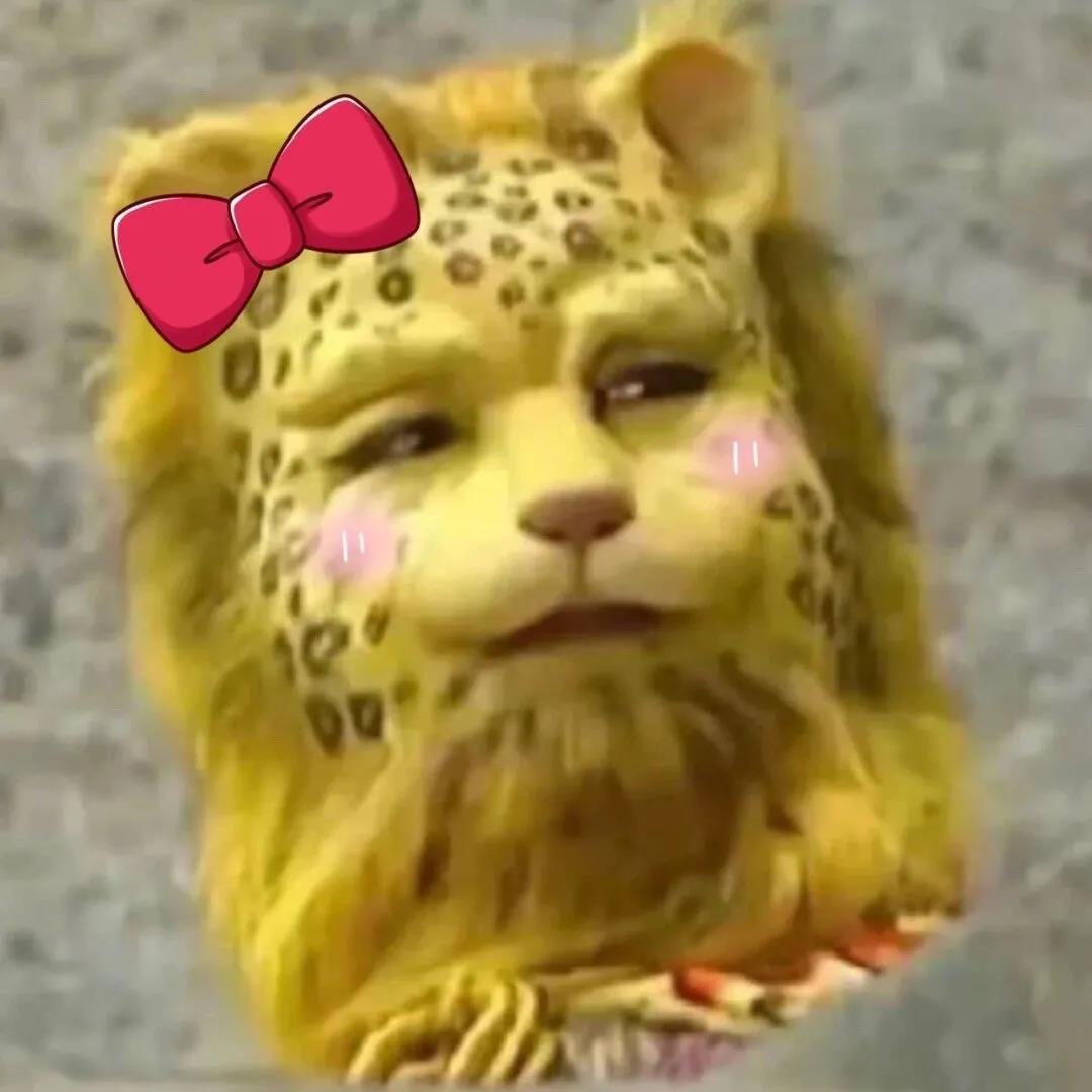 一夜之间金钱豹刷屏了斗图啦gif搞笑图片