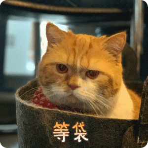 等袋斗图啦gif搞笑图片