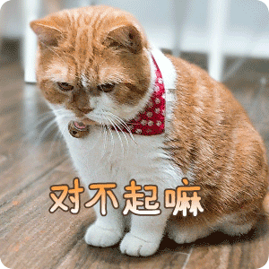 对不起嘛斗图啦gif搞笑图片