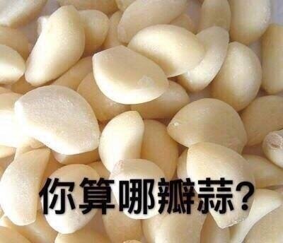 你算哪瓣蒜？斗图啦gif搞笑图片