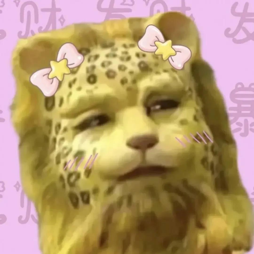 一夜之间金钱豹刷屏了斗图啦gif搞笑图片