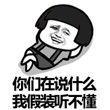 你们在说什么 我假装听不懂斗图啦gif搞笑图片