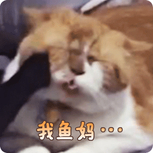 我鱼妈斗图啦gif搞笑图片