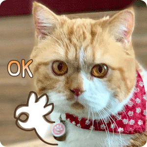 OK斗图啦gif搞笑图片