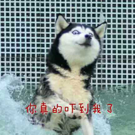你真的吓到我了斗图啦gif搞笑图片