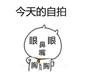 今天的自拍（眼眼，鼻，嘴，胸，乳沟，胸）斗图啦gif搞笑图片
