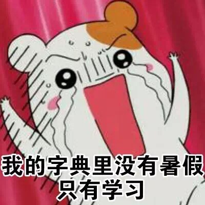 我的字典里没有暑假，只有学习斗图啦gif搞笑图片