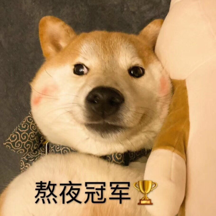 熬夜冠军斗图啦gif搞笑图片