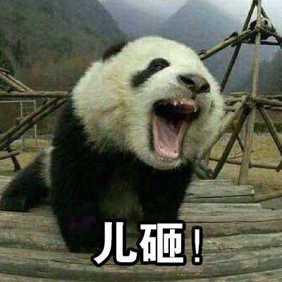 儿砸（熊猫）斗图啦gif搞笑图片
