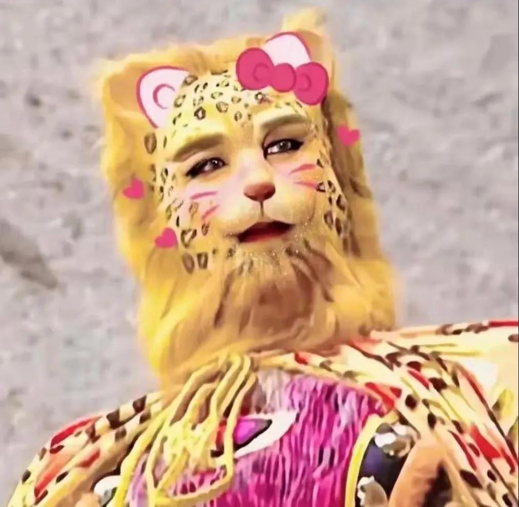 一夜之间金钱豹刷屏了斗图啦gif搞笑图片