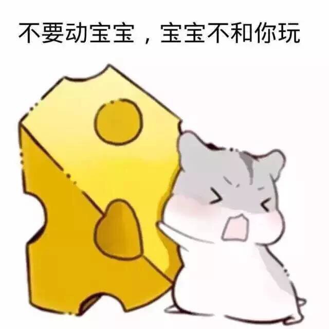 不要动宝宝，宝宝不和你玩斗图啦gif搞笑图片