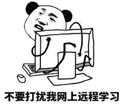不要打扰我网上远程学习斗图啦gif搞笑图片