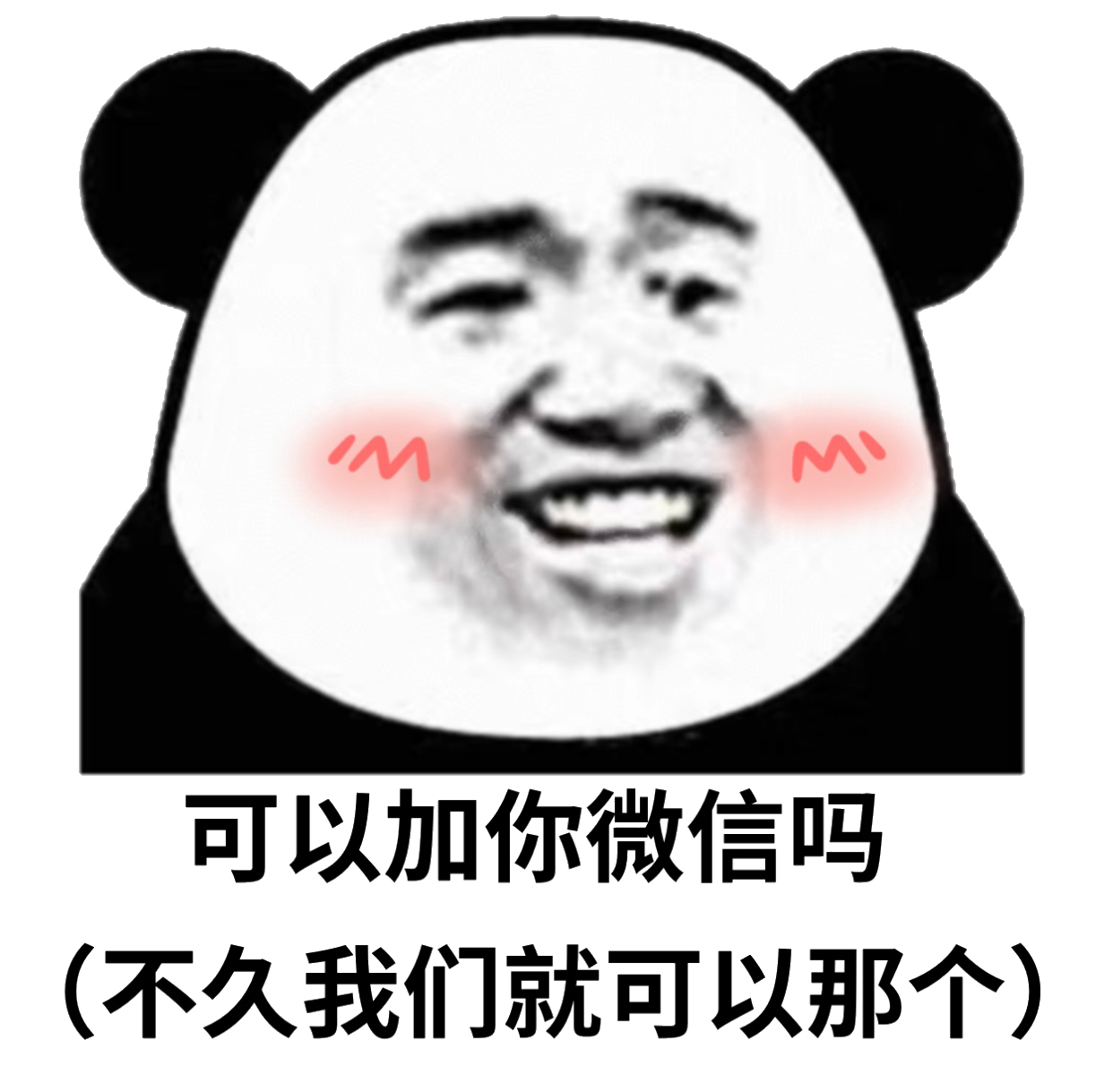 可以加你微信吗（不久我们就可以那个）斗图啦gif搞笑图片