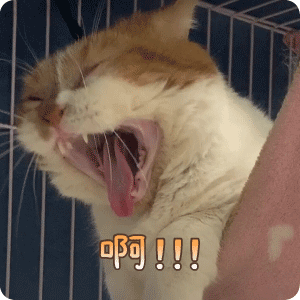 啊！！！斗图啦gif搞笑图片