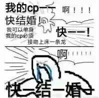 我的CP啊，快结婚！快结婚！斗图啦gif搞笑图片