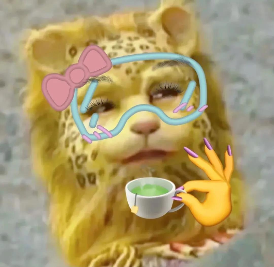 一夜之间金钱豹刷屏了斗图啦gif搞笑图片