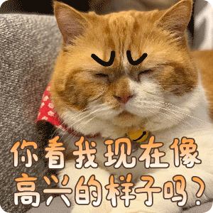 你看我现在像高兴的样子吗？斗图啦gif搞笑图片