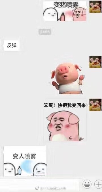 朋友之间表情包互怼最好玩的一次，和会接梗的人玩真是一件非常愉悦的事情[哈哈] ​​​斗图啦gif搞笑图片