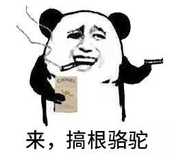 来，搞根骆驼斗图啦gif搞笑图片