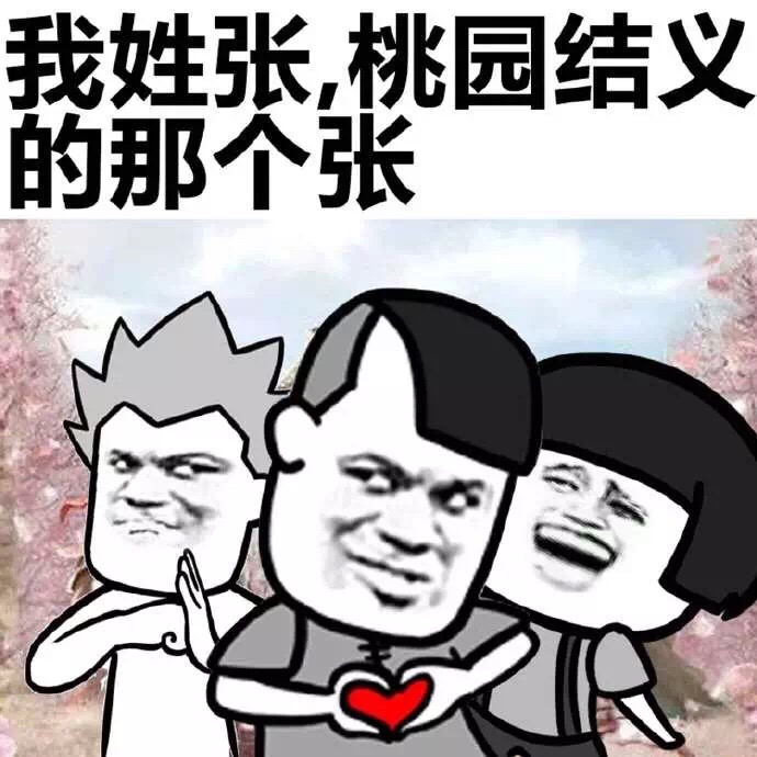 我姓张，桃园结义的那个张斗图啦gif搞笑图片