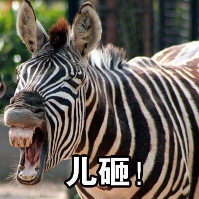 儿砸（斑马）斗图啦gif搞笑图片
