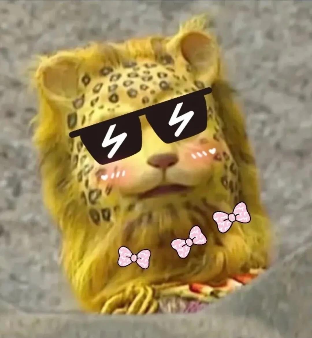 一夜之间金钱豹刷屏了斗图啦gif搞笑图片