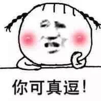你可真逗！斗图啦gif搞笑图片