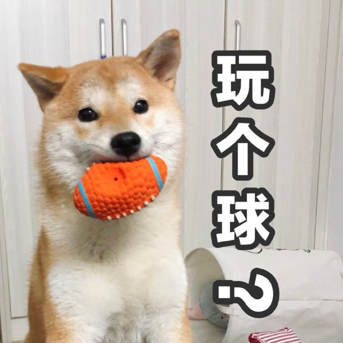 玩个球？斗图啦gif搞笑图片