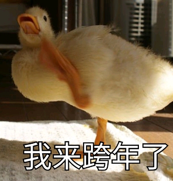 我来跨年了斗图啦gif搞笑图片