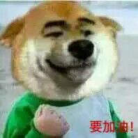 要加油 ! - 加油哦斗图啦gif搞笑图片