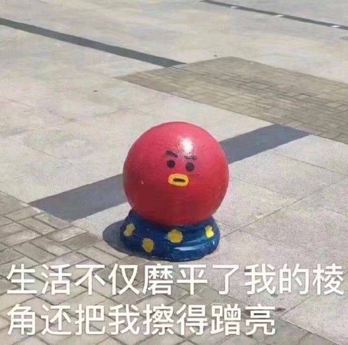 生活不仅磨平了我的棱角，还把我擦得蹭亮斗图啦gif搞笑图片