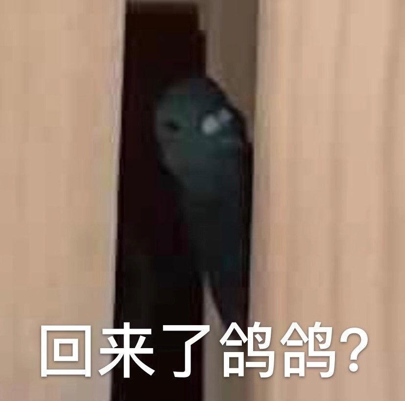 回来了鸽鸽？斗图啦gif搞笑图片
