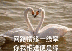 网路情缘一线牵.你我相逢便是缘斗图啦gif搞笑图片